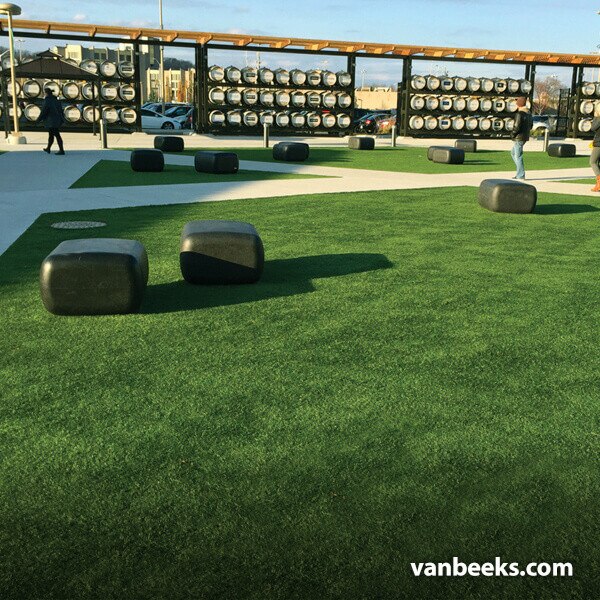 AGL Saratoga 60 Turf Preview